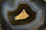 Polished Banded Agate with Wegeler Effect - Aouli, Morocco #187133-2